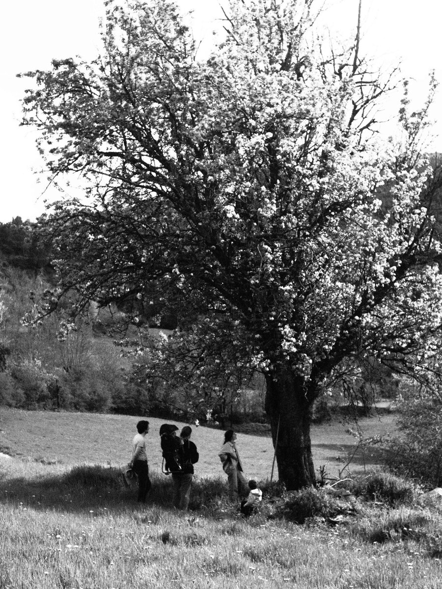 Amor intergeneracional