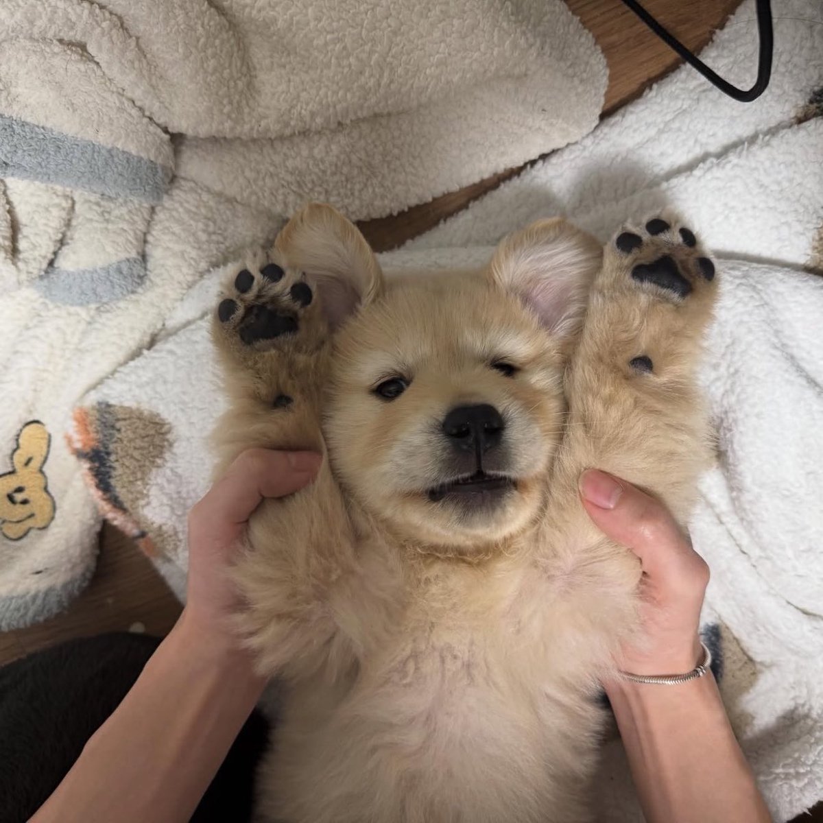 อย่าทำอะไรช้านน้า (จุ้บเรย จุ้บเรย)