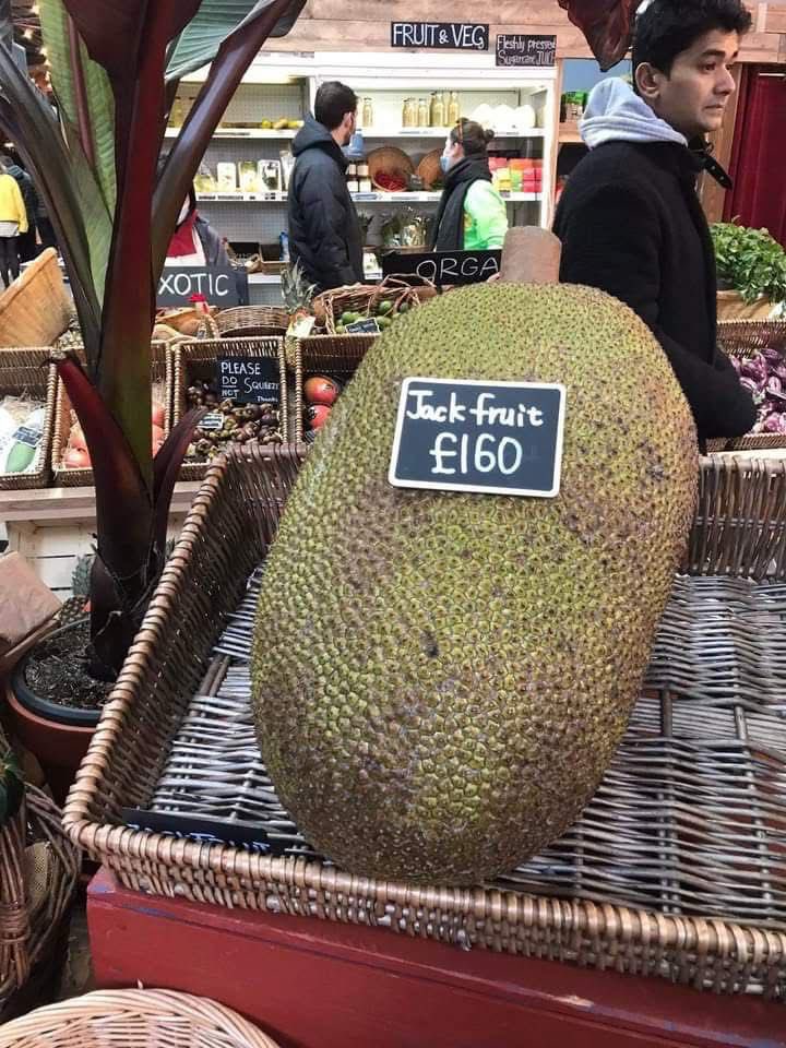 You are going to start seeing people make videos on YouTube and tiktok on how growing jackfruit can make you rich overnight. 
Whether a new farmer or an experienced one, always avoid emotionally triggered investment decisions in farming. If you don't, you will cry