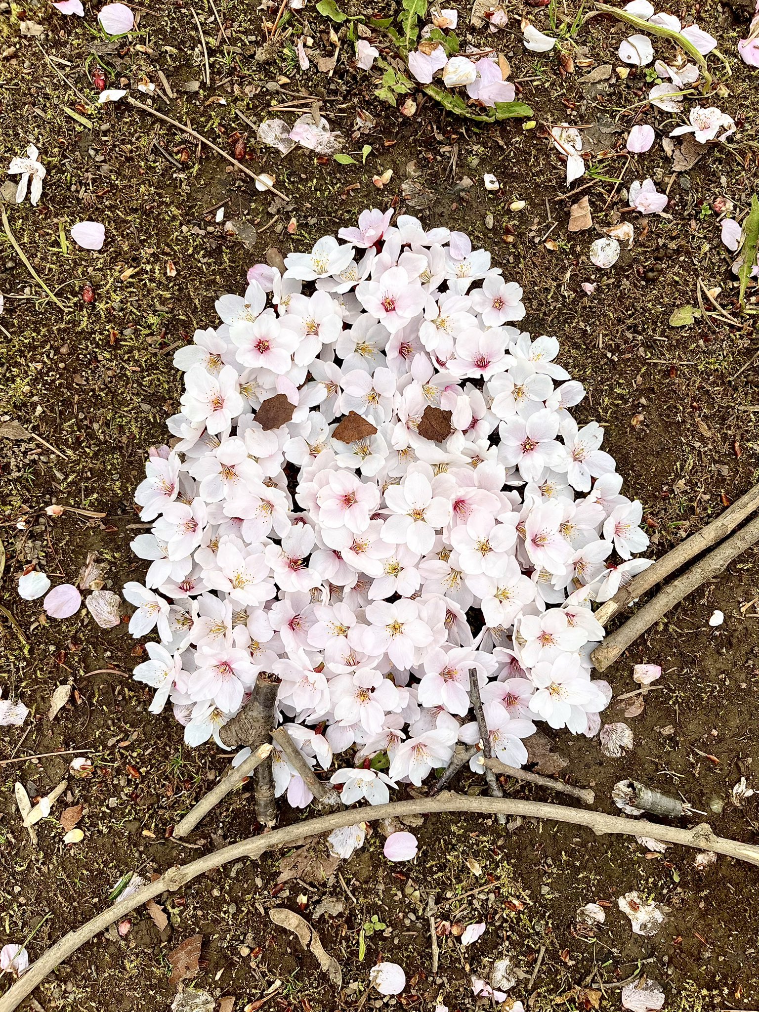 シマエナガと桜 Akiko Nishiyama | 桜🌸シリーズver5 再び桜とシマエナガ