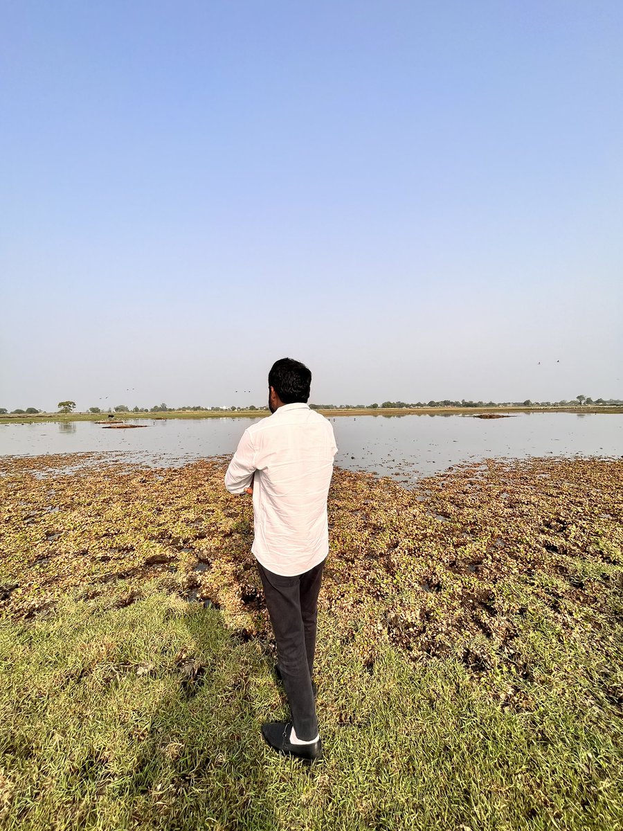 vikranttongad's tweet photo. From #Dry to #Alive: #Wetland Breathes Again After #Media &amp; #Community Efforts

#Good news! After being dry for nearly a month, the #Dhanauri Wetland, #Gr. Noida has #water again. The absence of water was causing real trouble for the birds that depend on this habitat. https://t.co/dcHGdmuRwD
