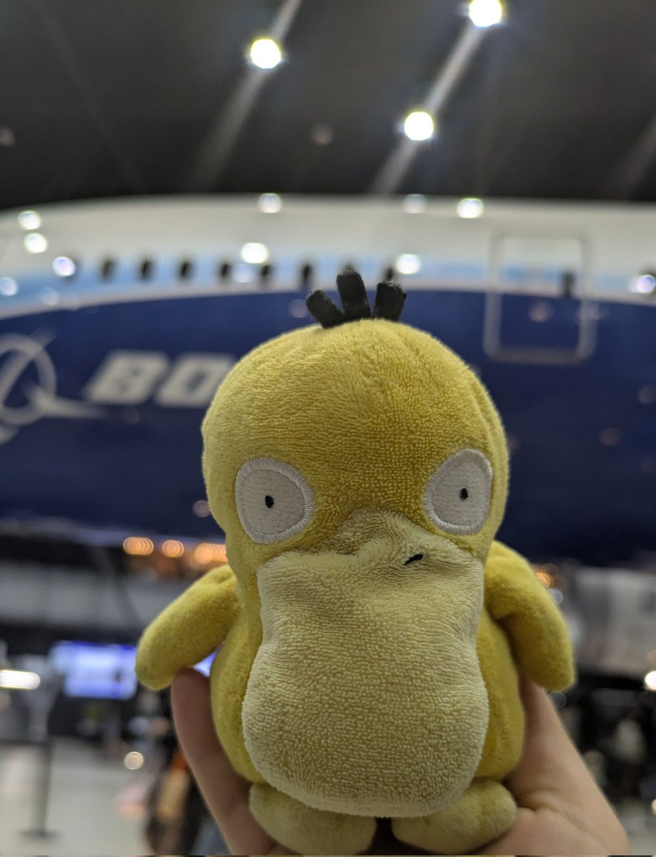 ひこうきをみにきましたぐわ〜✈
はくりょくまんてん、たのしいぐわぁ!
あぐわこは、ゆめみる3さいのおんなのこぐわ〜♪
#コダック