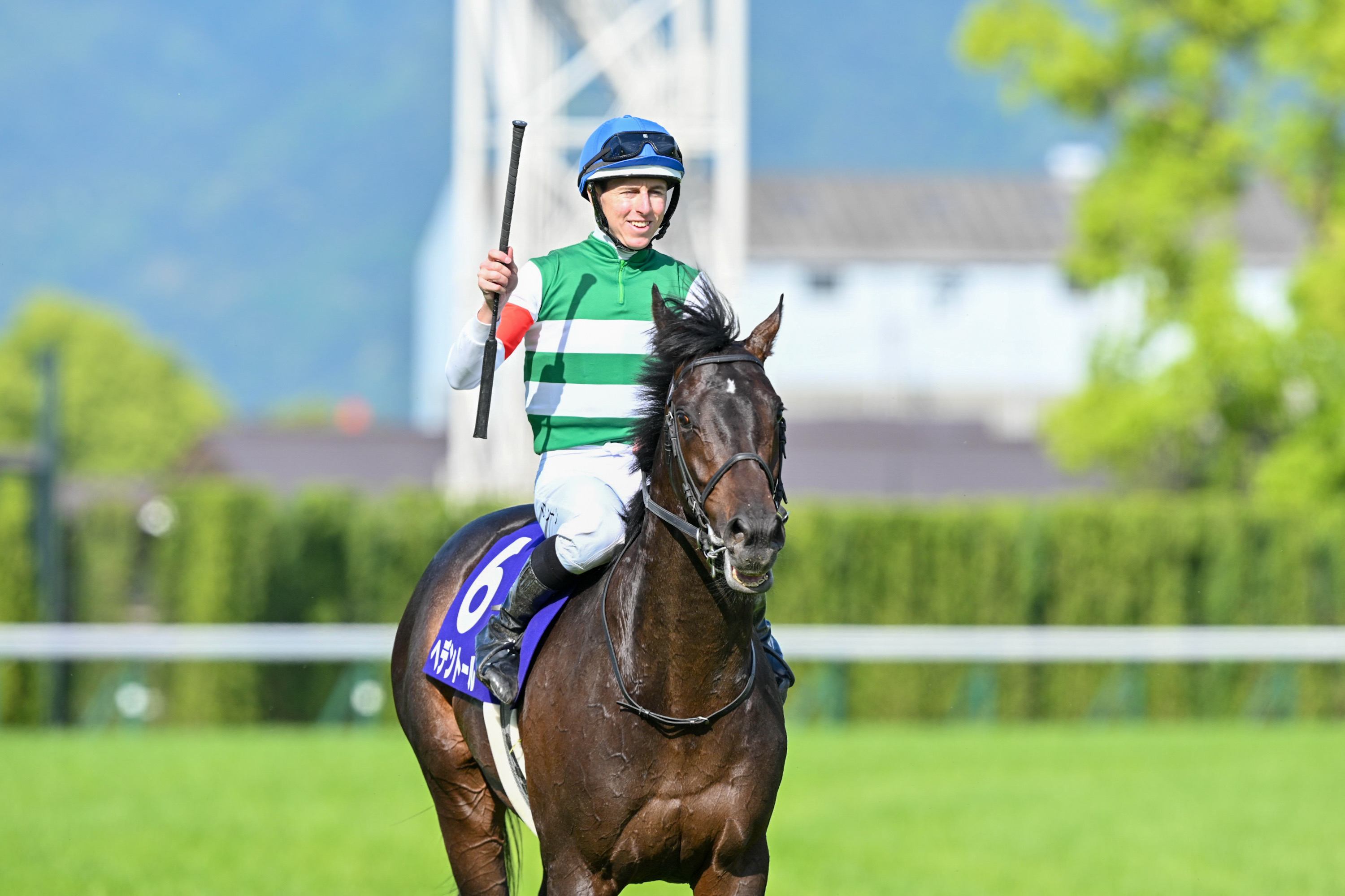 天皇賞・春、ヘデントールが優勝 競馬、1番人気でG1初制覇