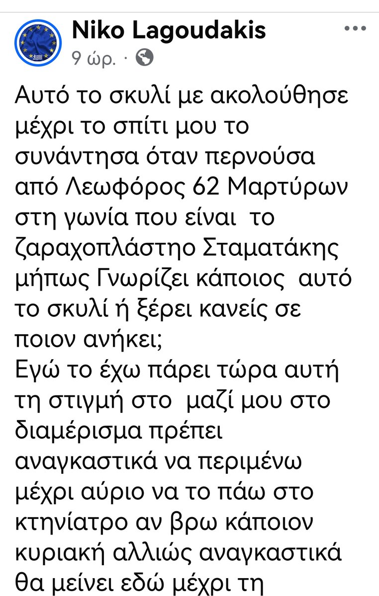 Κρητη‼️🆘‼️Αναζητείται ο κηδεμόνας του. Ο άνθρωπος το πήρε σπίτι του δεν το προσπέρασε κ μπράβο του. Αν ξέρετε κάτι θα μιλήσετε μαζί του fb. Niko Lagoudakis