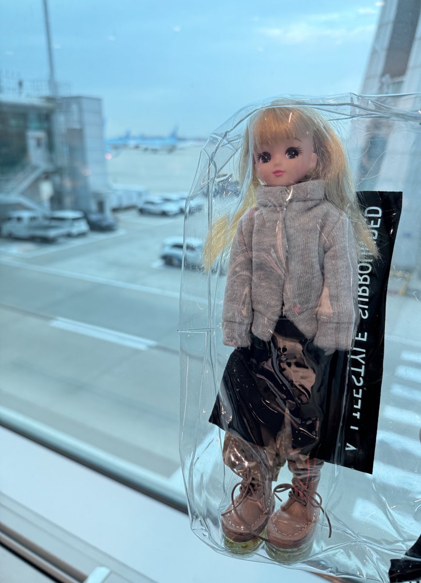初渡韓✈️慣れないことだらけでリカちゃんをケースからなかなか出してあげられない
#ドル旅　#ドル活