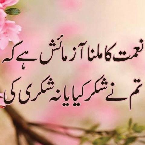 Urdu Poetry / اردو شاعری tweet media