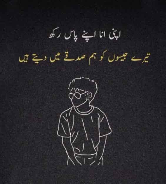 Urdu Poetry / اردو شاعری tweet media