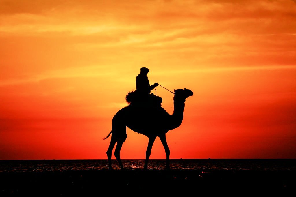 #صباح_الخير 
#نجران_الان 
إنّ الإجابة الوحيدة على الهزيمة هي الانتصار