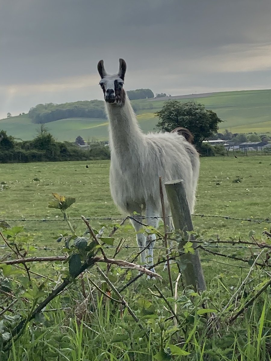 Are you curious about #flashfiction?  as well as full weekend passes with accommodation, We have some ONE day passes available now if you want to give it a go. Workshops, panels, readings, bookshop, bar &amp; an international crowd. Fun &amp; Friendly Book at Flashfictionfestival.com