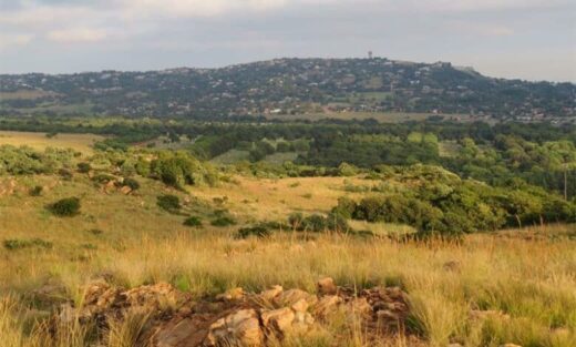 Awaken the senses in the beauty of Melville Koppies

Security and safe parking are provided opposite the entrance to Melville Koppies.

citizen.co.za/bedfordview-ed…