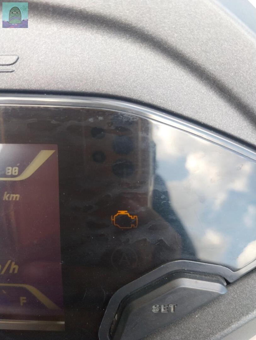 Tanyarl 💚 tweet media