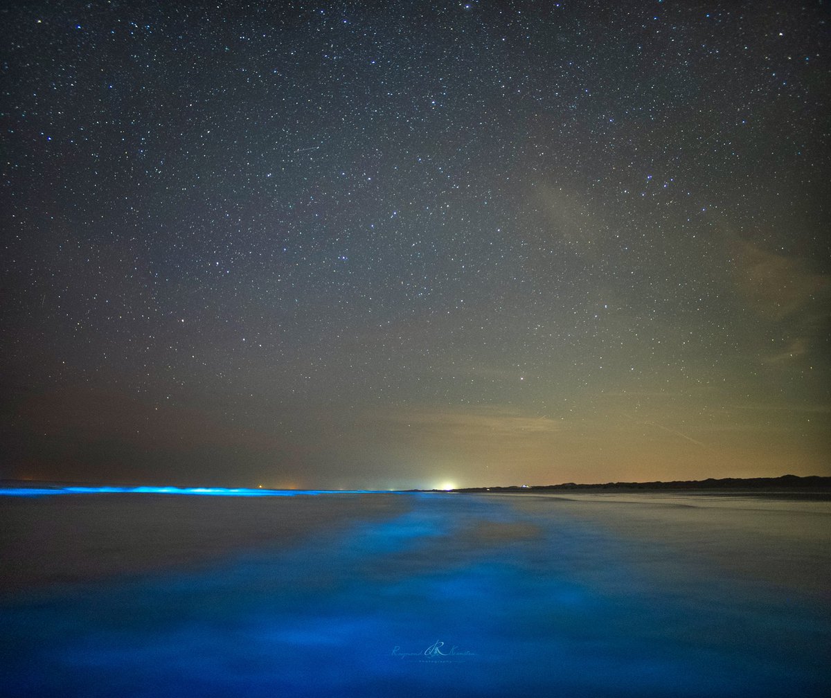 Raymond Kamstra tweet media