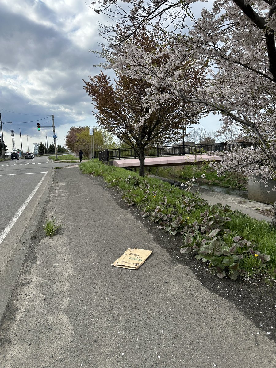 terumin_369's tweet image. 【知らなきゃ損】タバコの吸殻1万本拾ったら夢が叶うんだってー！本日169本拾いました！少しでも海が綺麗になるお手伝いが出来たら嬉しい！みんなもゴミ拾って夢叶えませんか？6月は大阪に遠征してゴミ拾います！地球を守ろう！
#CleanUpChallenge
@cleanify_vet
#continue_salon