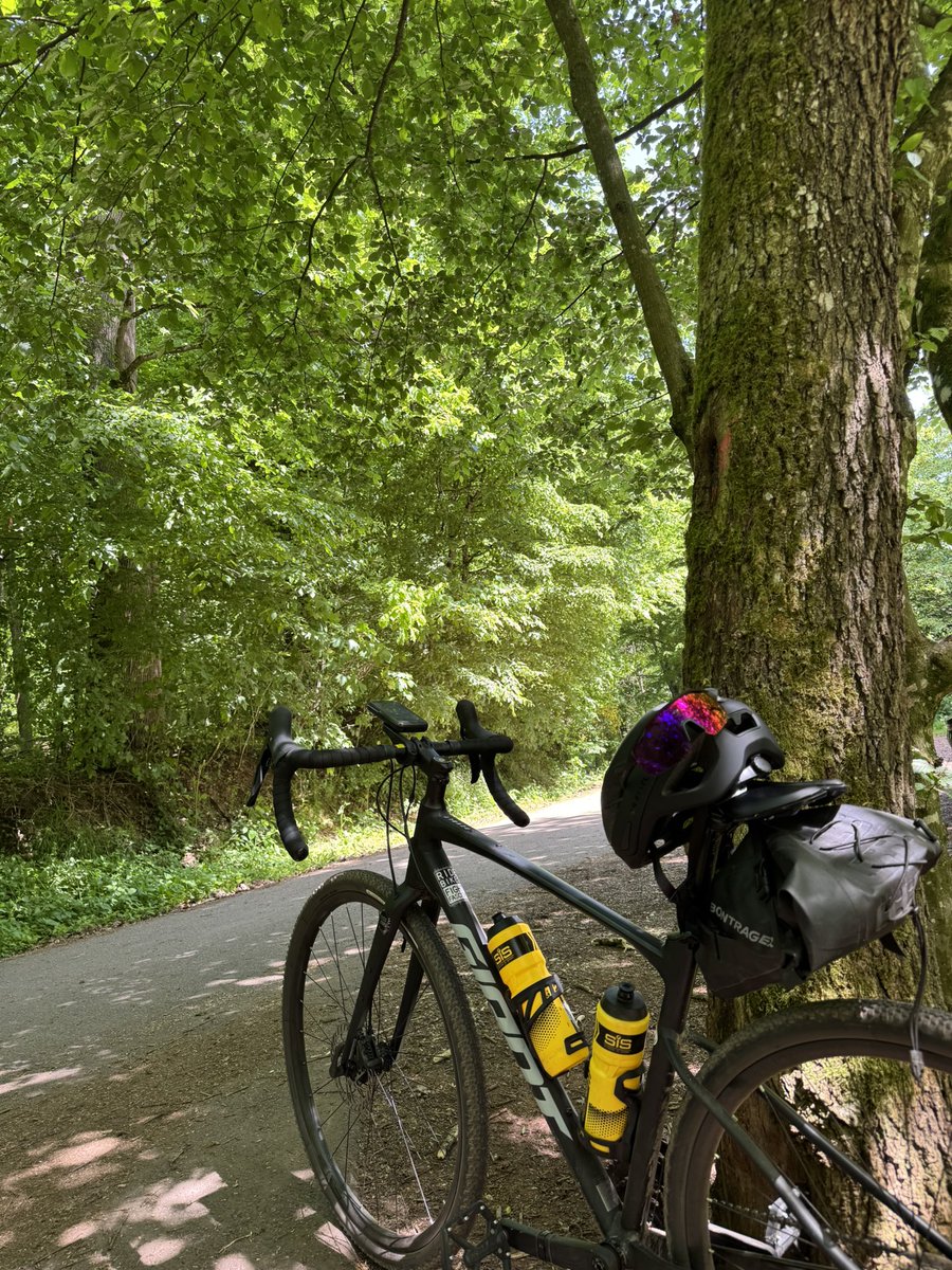 Runde an der Saar entlang 🏞️