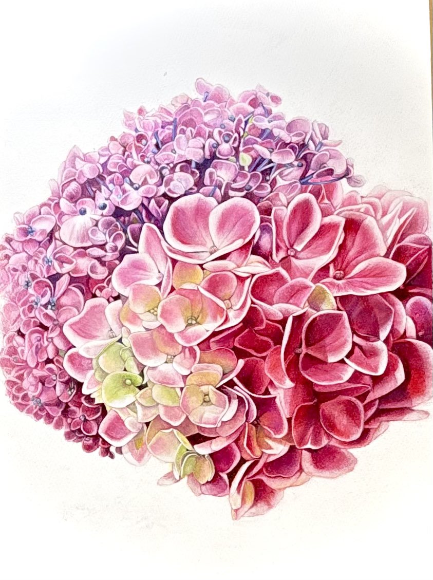 akiko.です♪　色鉛筆画 かわいい外人女性を色鉛筆で描きました😍 まったく知らない方ったん