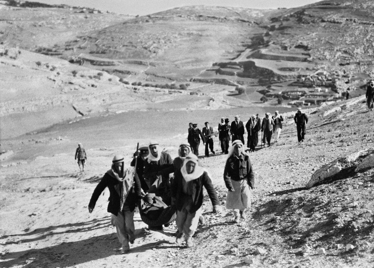thetruegurll's tweet photo. " If the olive trees knew the hands that planted them, their oil would become tears' Beautiful falesteen. Free Palestine.

Peace in Palestine is inevitable.

#FreePalestine #world #truth #handbyhand #war #freedom #FromTheRiverToTheSea #فلسطين #السلام https://t.co/UQNAjuGG3r