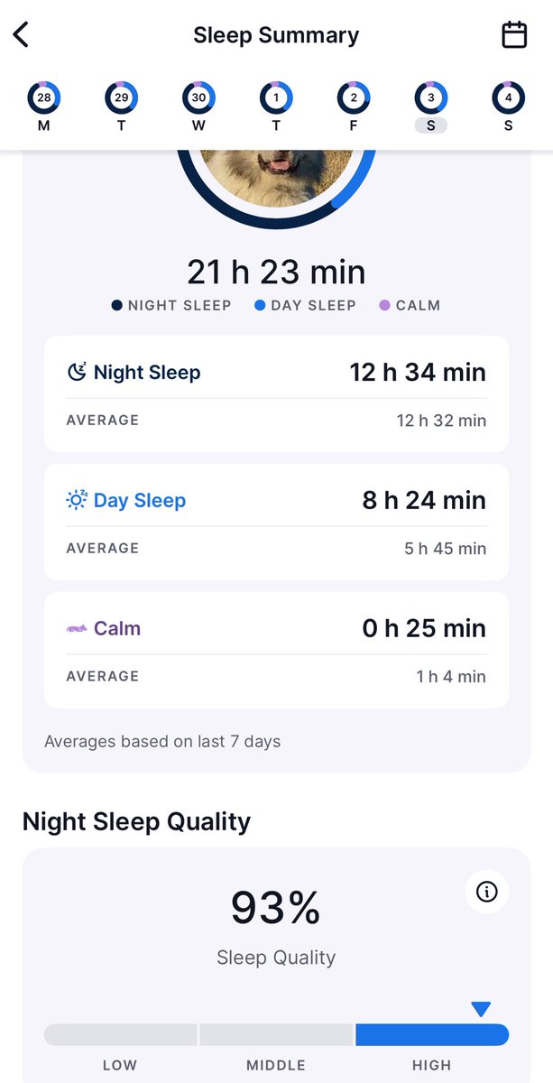 Když se dívám na data spánku našeho hafana… Tak v příštím životě chci být pes!