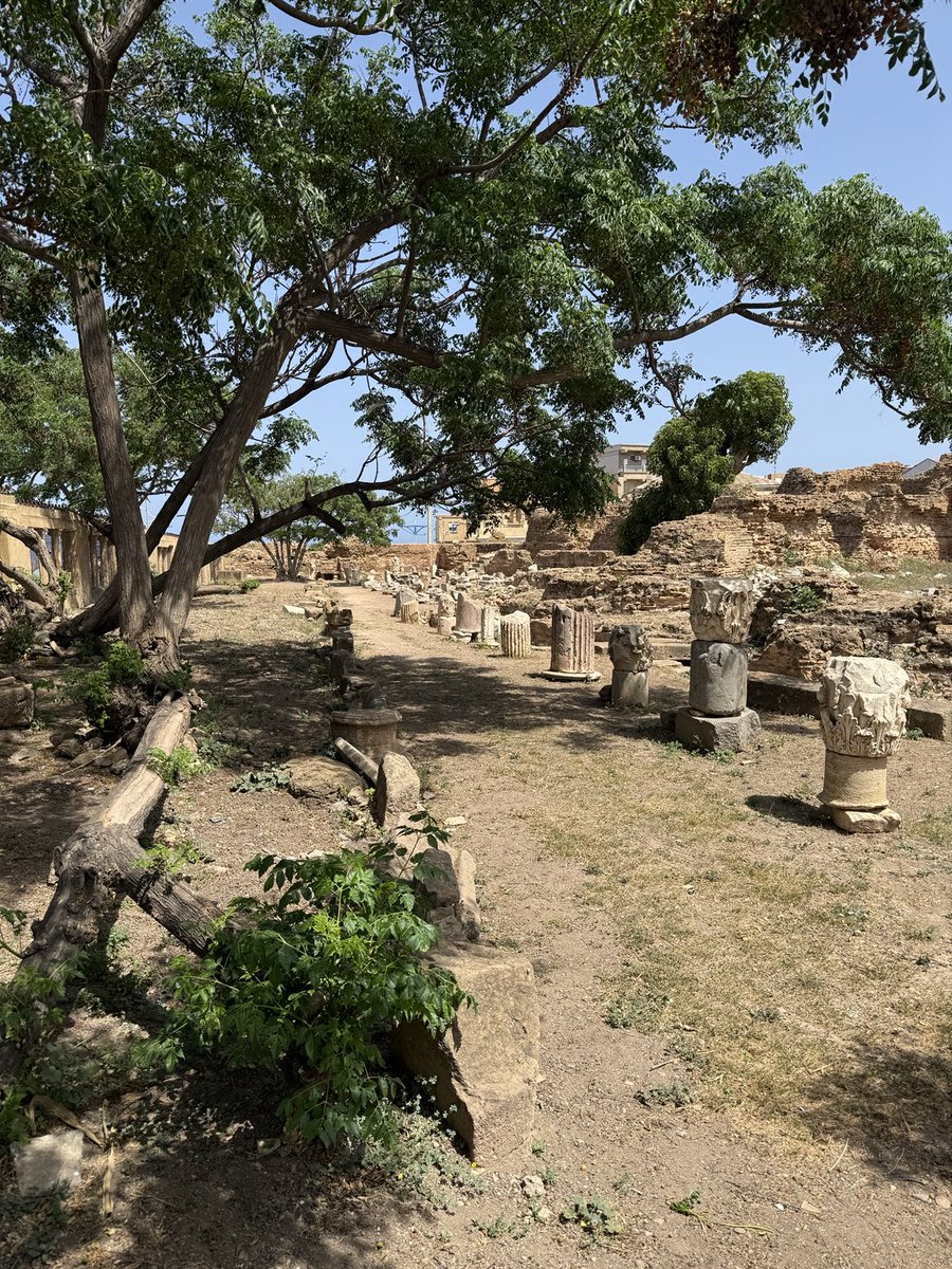 ElizabethAubin's tweet photo. Amazing Roman ruins in #Cherchell, 🌍or Iol (ee-ol) as it was referred to in Roman times. ❤️🇩🇿 https://t.co/IyXWVJhRIp