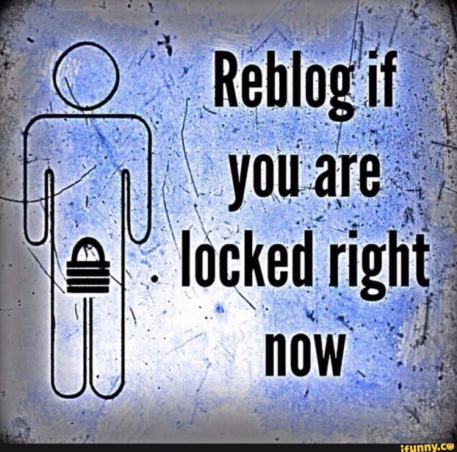 ProfileShemale's tweet photo. https://t.co/M5DquO7JrM