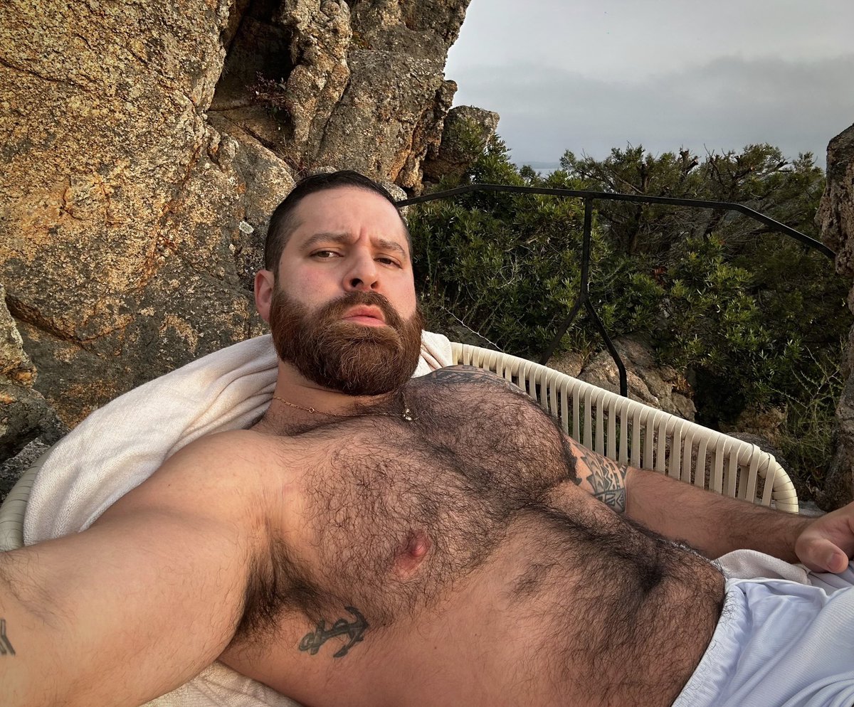 ☀️🐻 Good morning !