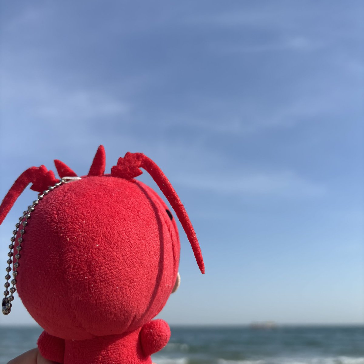 Trash_bibim's tweet photo. 저희새우고향방문좀했습니다 https://t.co/7N92m8bLRJ