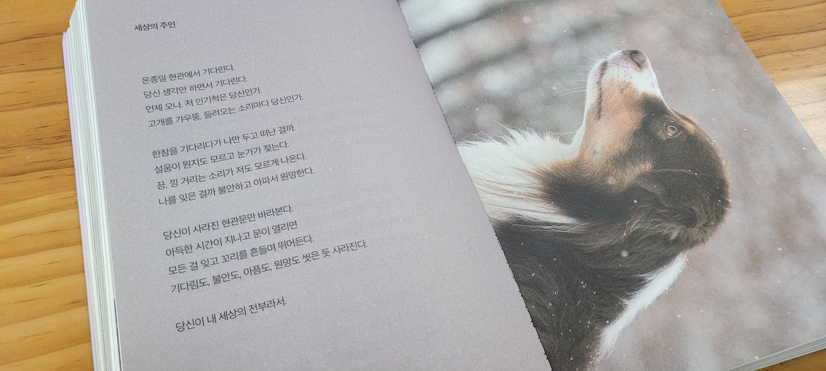 온종일 기다린다. 당신 생각만 하면서 언제 오나, 저 인기척은 당신인가. 한참을 기다리다 나만 두고 떠난 걸까 설움이 뭔지도 모르고 눈가가 젖는다. 아득한 시간이 지나고 문이 열리면 모든 걸 잊고 뛰어든다. 기다림도, 불안도, 아픔도, 원망도, 씻은 듯 사라진다.

당신이 내 세상의 전부라서.