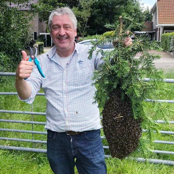 Het is weer de tijd voor de bijenzwermen. Bel bij aantreffen een regionale imker of de politie. En ga vooral niet zelf lopen stunten!! Delen is 👍
#bijen #bijenzwerm #imker #honeybees