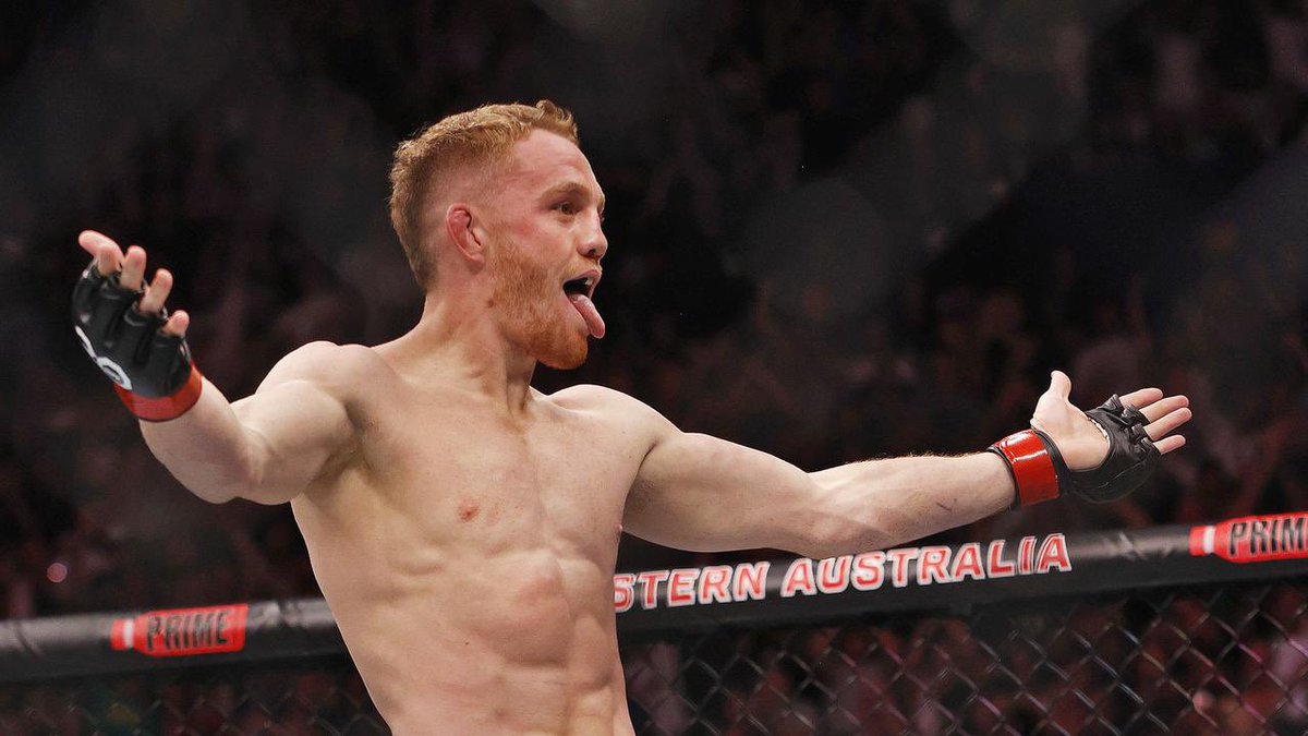 It’s jdm fight week