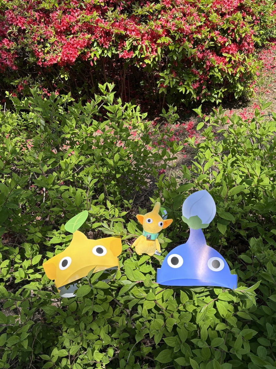 피크민 블룸 투어 끝 !