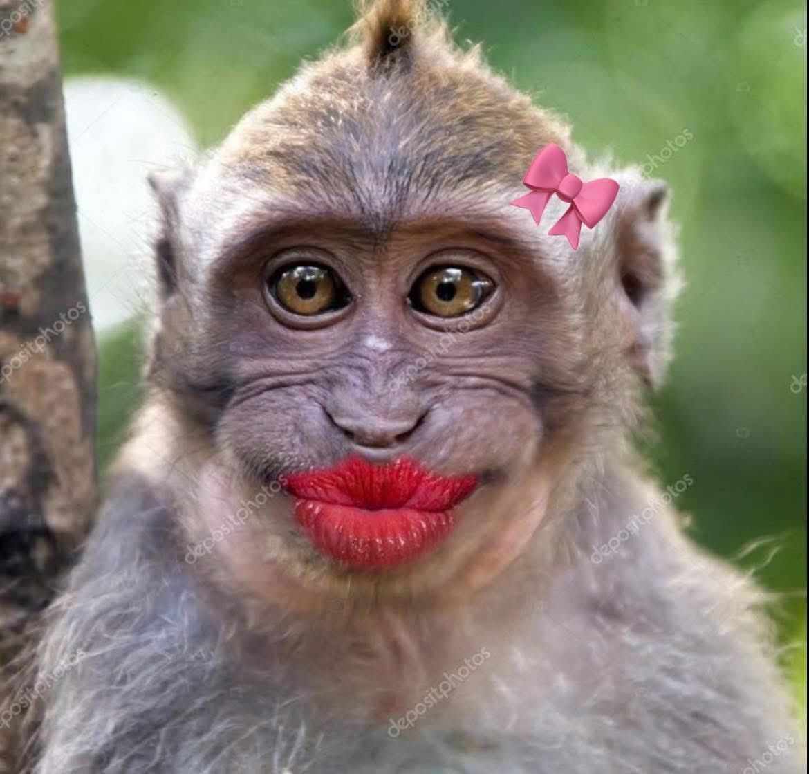 thekingsmanUG's tweet image. Why would anyone waste time and resources contesting Ssemujju!!?