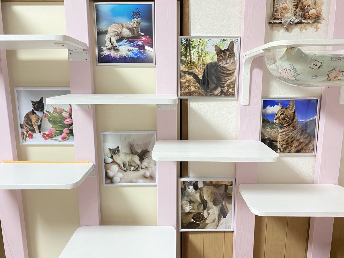 べじたりあん。 (@nyan6niku) / Posts / X