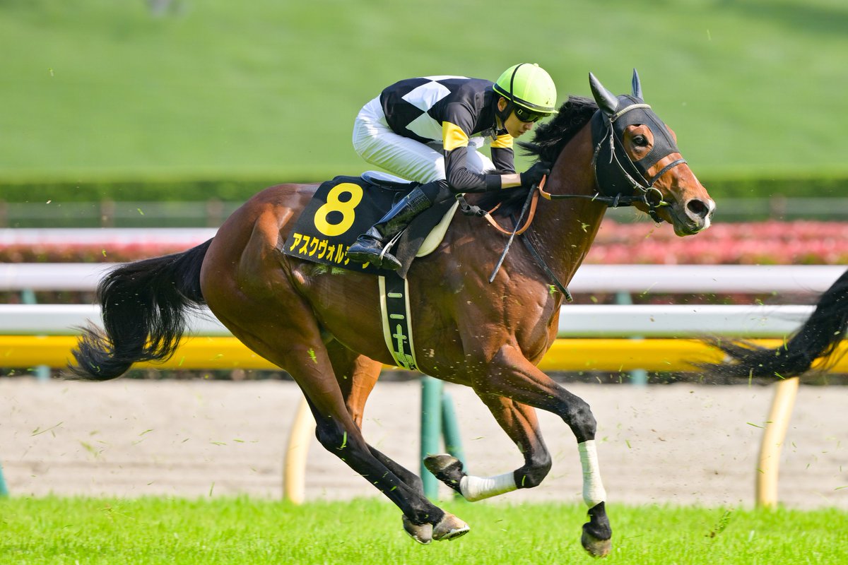 プリンシパルs - Search / X