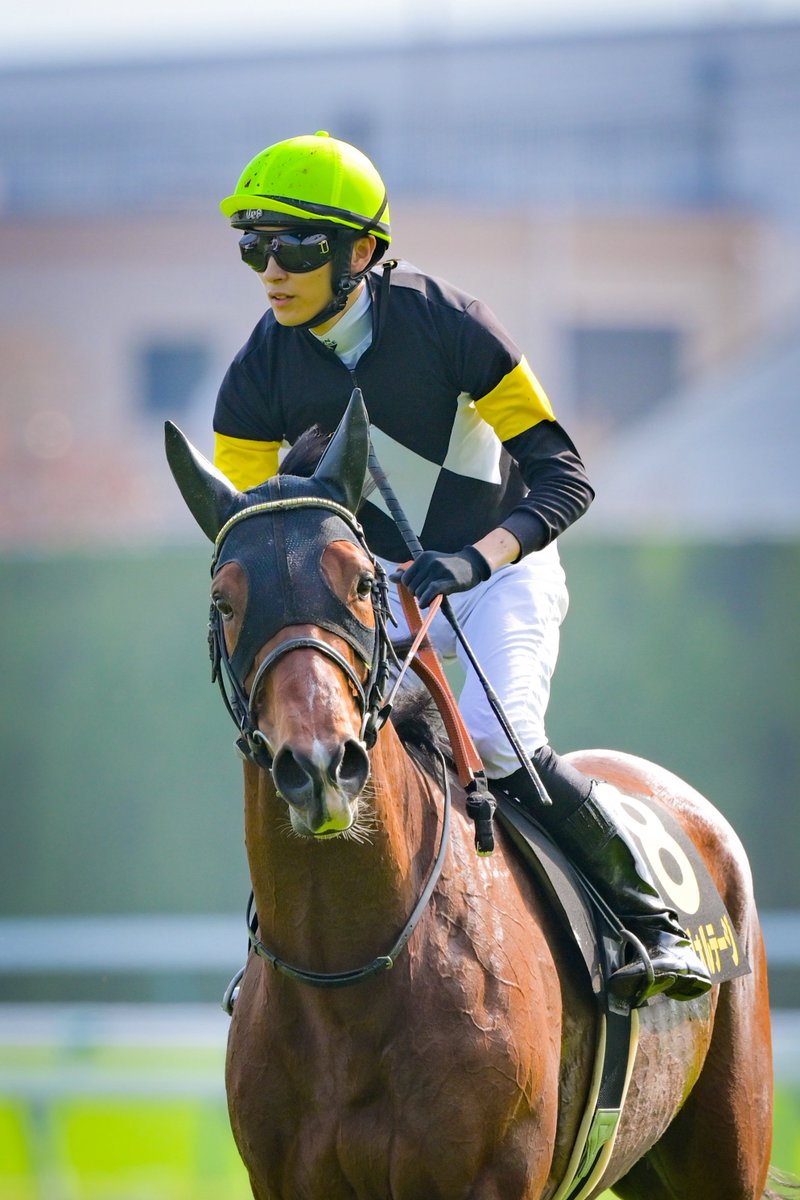 プリンシパルs - Search / X