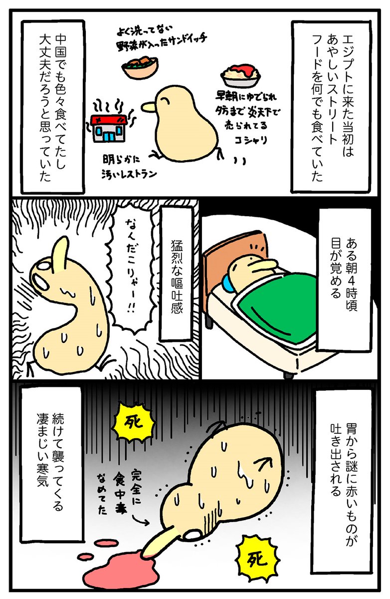 「月収5万エジプト在住 まあ死なんやろ日記」
エジプトの食べ物で死にかけた話(2/3) 