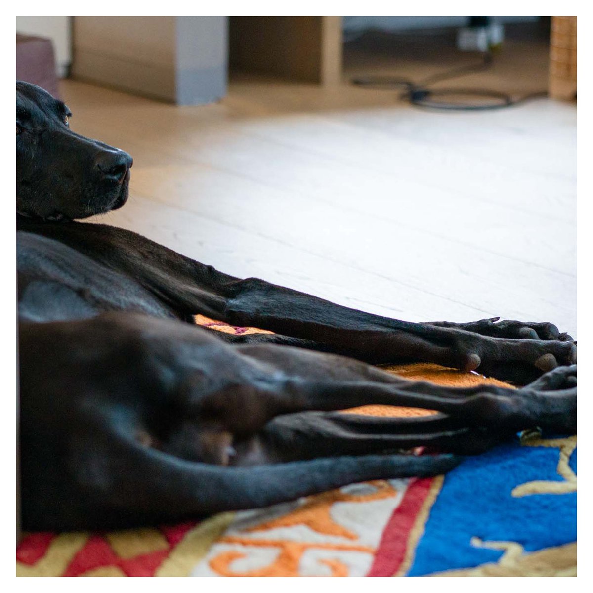 Ist was?
#PictureOfTheDay #FotoDesTages
thomaswinzer.com