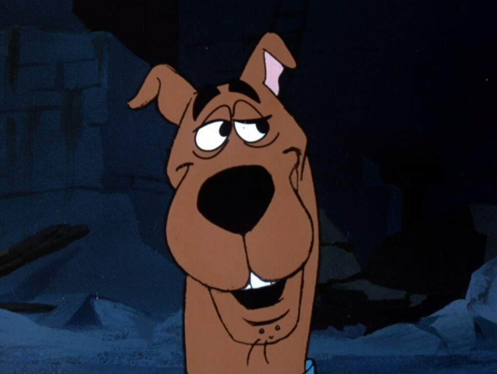 WendyLovesJesus's tweet photo. It's #MaydayForMutts Day, gang, and while WE would never call #ScoobyDoo a "mutt" (unlike filthy old cheatin' Buck Masters did), mutt isn't a dirty word. We love all dogs equally. Especially Scooby. Well..... maybe we love Scooby a BIT more than everyone else..... 😍 https://t.co/tTmm5WBtfB