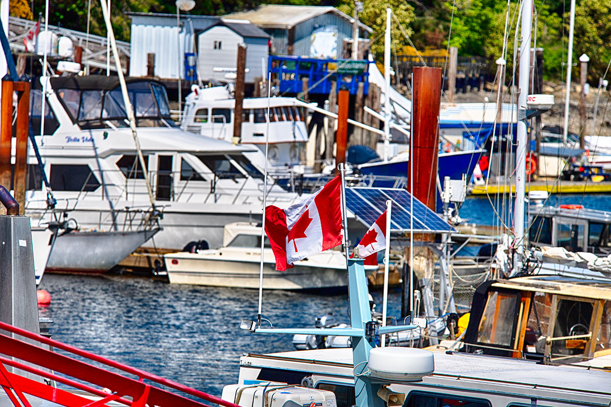 🇨🇦 True North Strong and Free 🇨🇦 #canada #elbowsup #madeincanada #buycanadian #flagaday