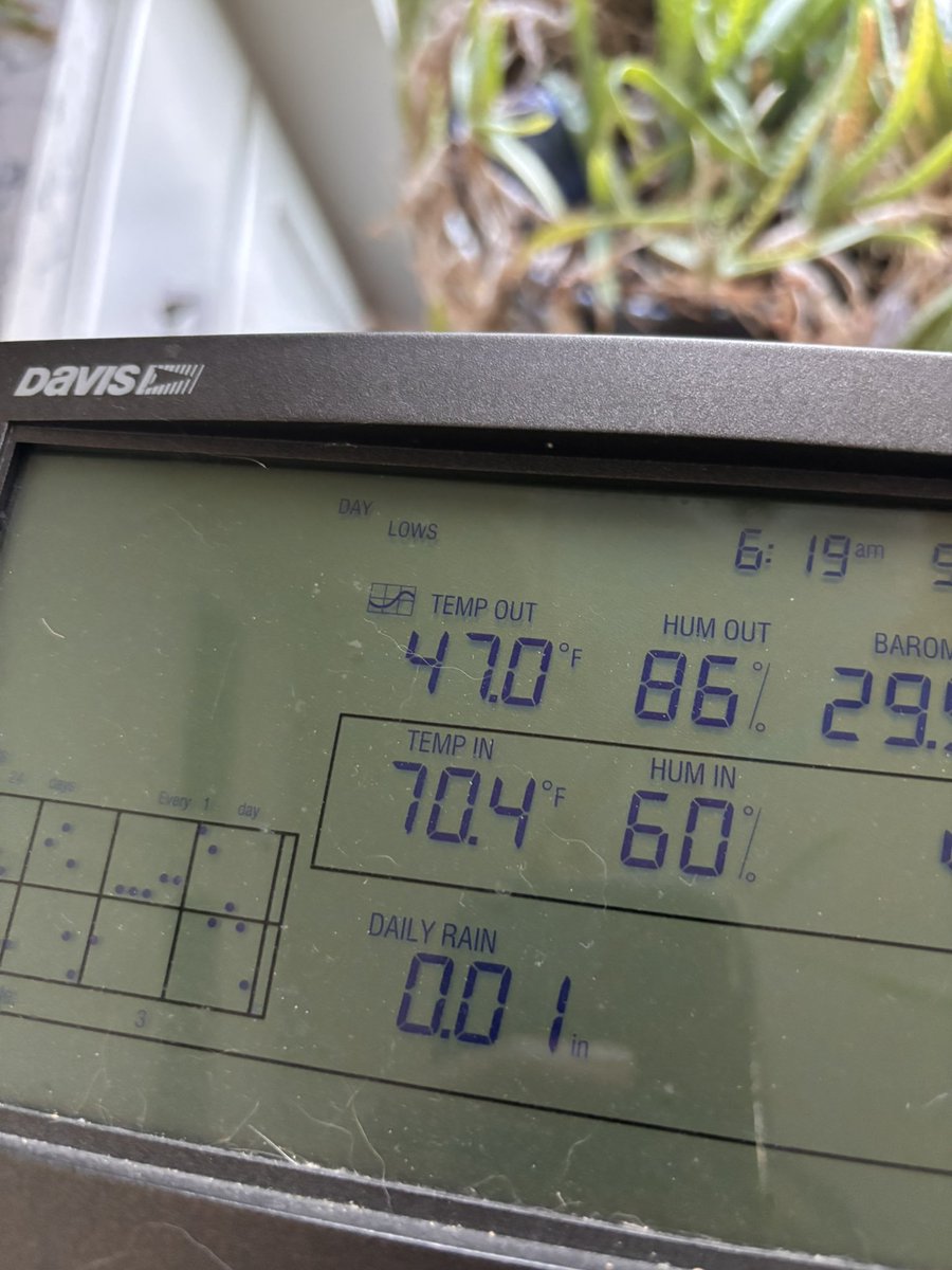 Tom Bradshaw tweet media