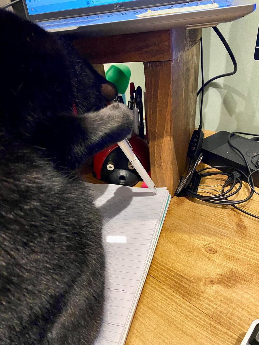 The takeover has started… 😂#noneedforopposiblethumbs
