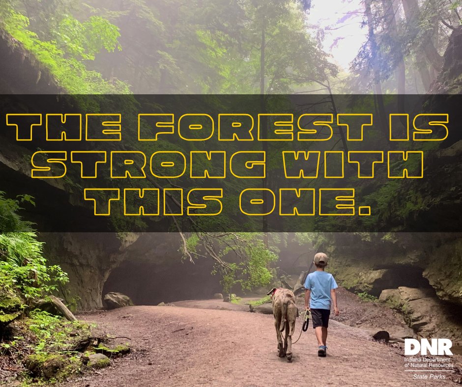 You don't need to go to a galaxy far far away to enjoy natural wonders! Walk sand dunes, explore caves, traverse ravines, hike forests at an Indiana State Park near you: stateparks.IN.gov

So, join the park side... We have tree cookies and fun hikes. ✨ 

#MayThe4th