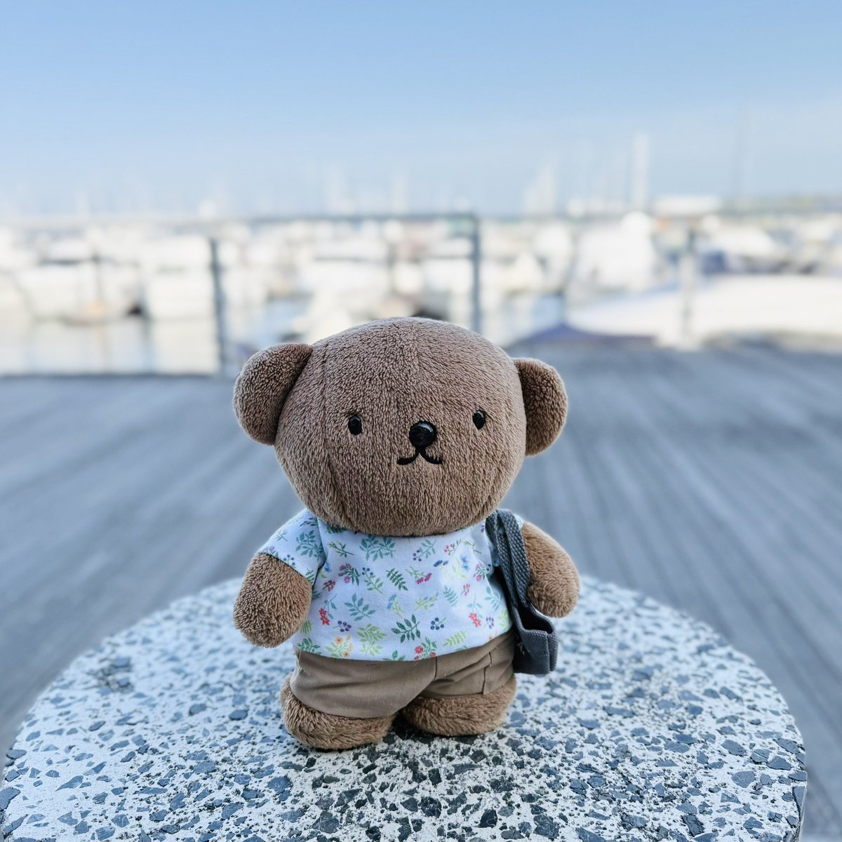 BorisPori's tweet image. おでかけ( ・ᴥ・ )✨
