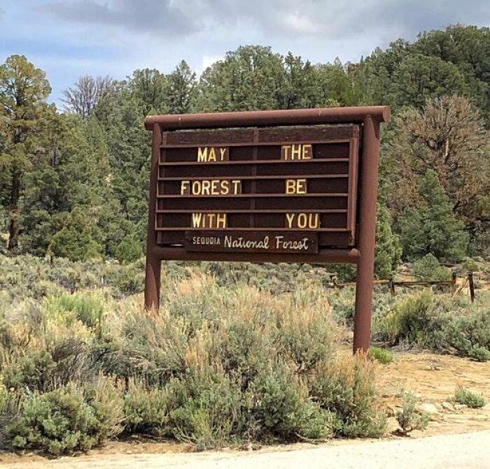 May the forest be with you.