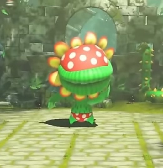 Piranha Plant of the Week tweet media