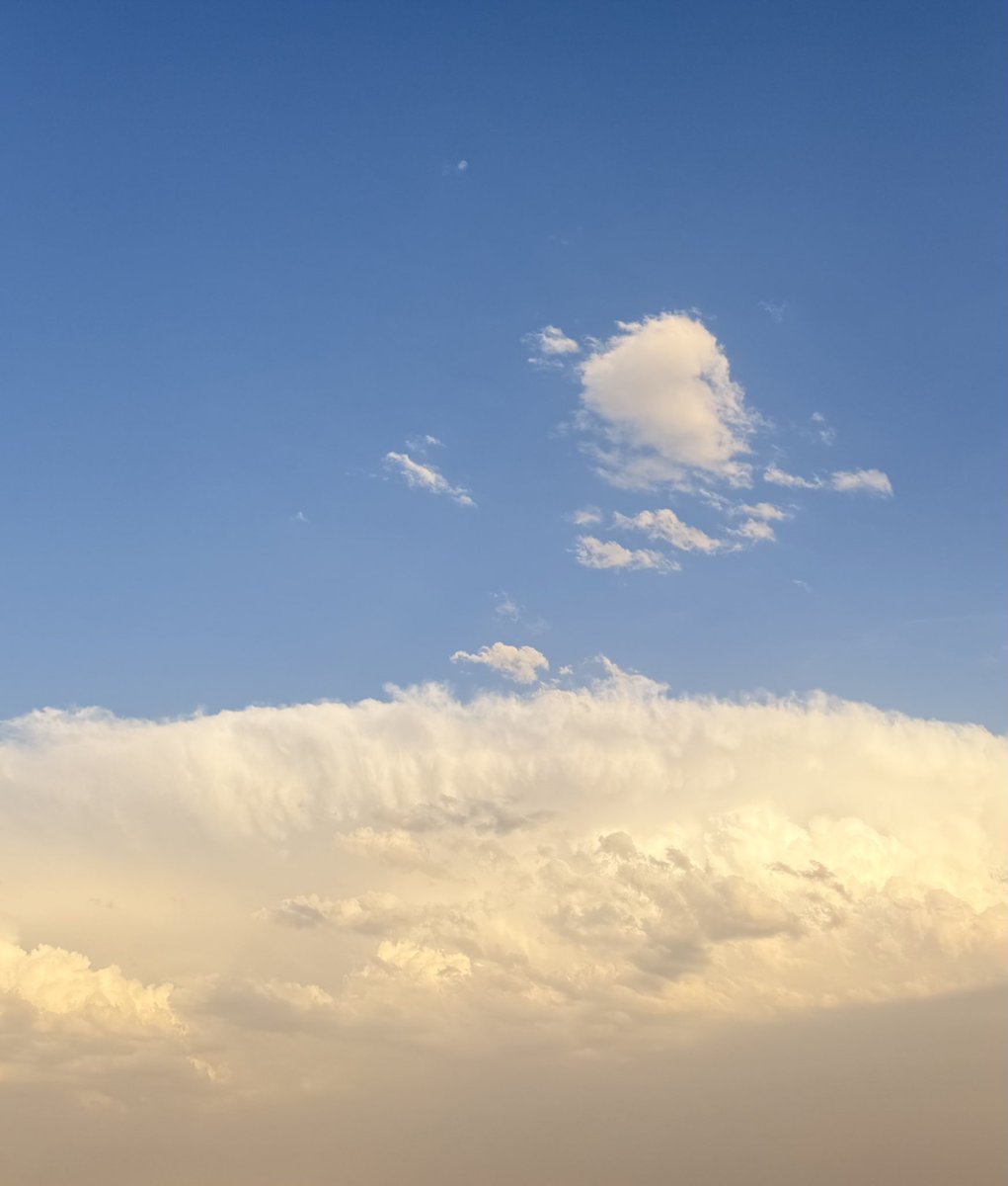 تذكير: فيه أمور ما تحتاج منّا المزيد من المعرفة بقدر ما تحتاج المزيد من التخلي عن المعرفة الغير لازمة🩵