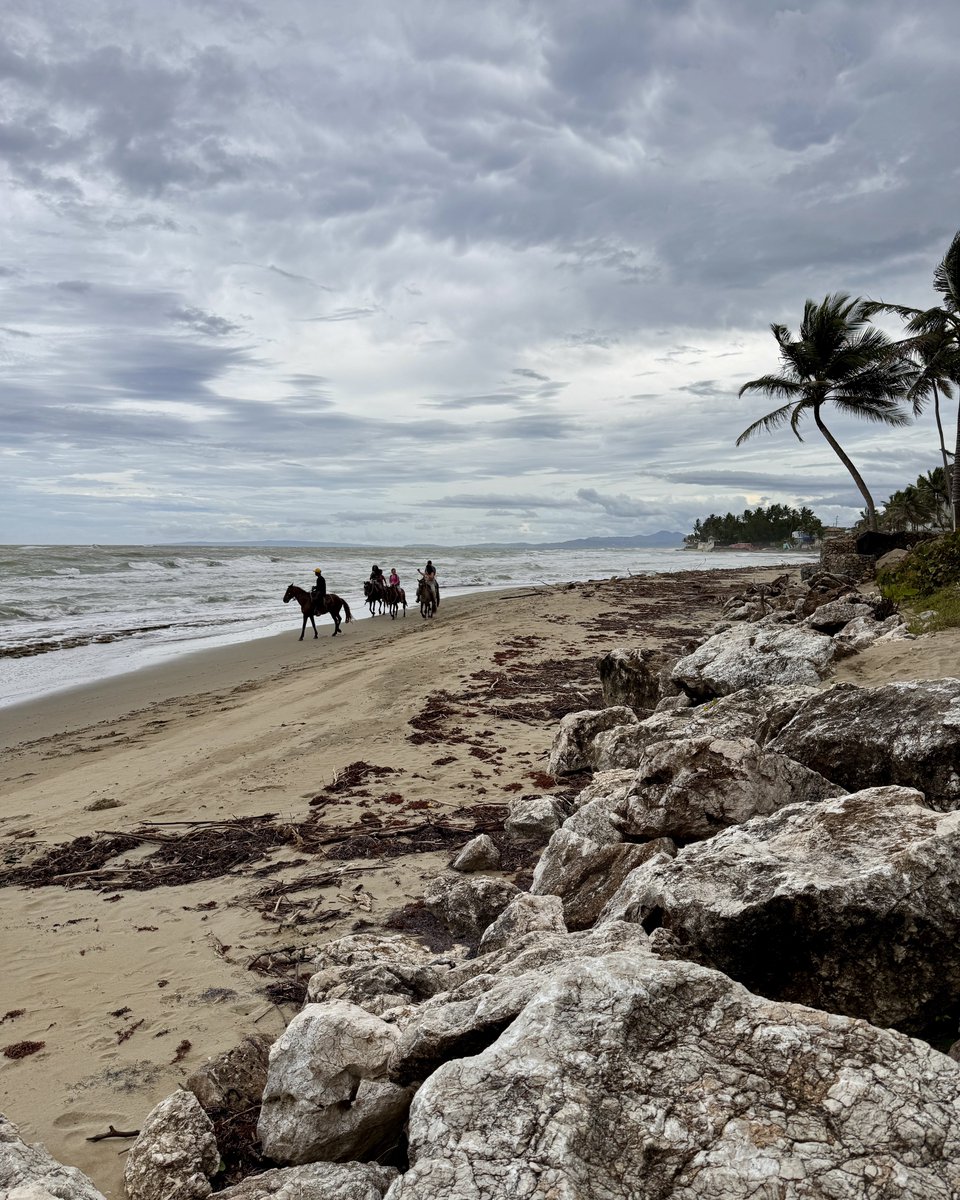 Steven Morse tweet media