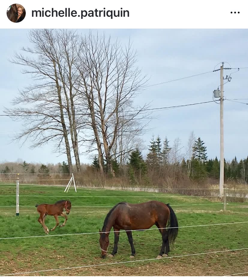 This bouncing baby boy hopes to qualify today to start another season of racing <a href="/truroraceway/">Truro Raceway</a> #FifthEstate