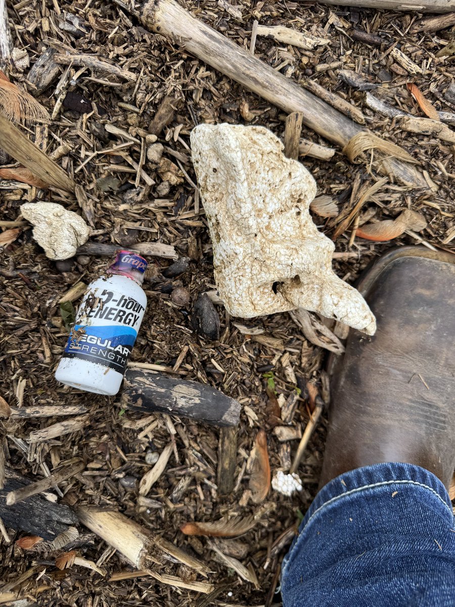 Gavin Spoor tweet media