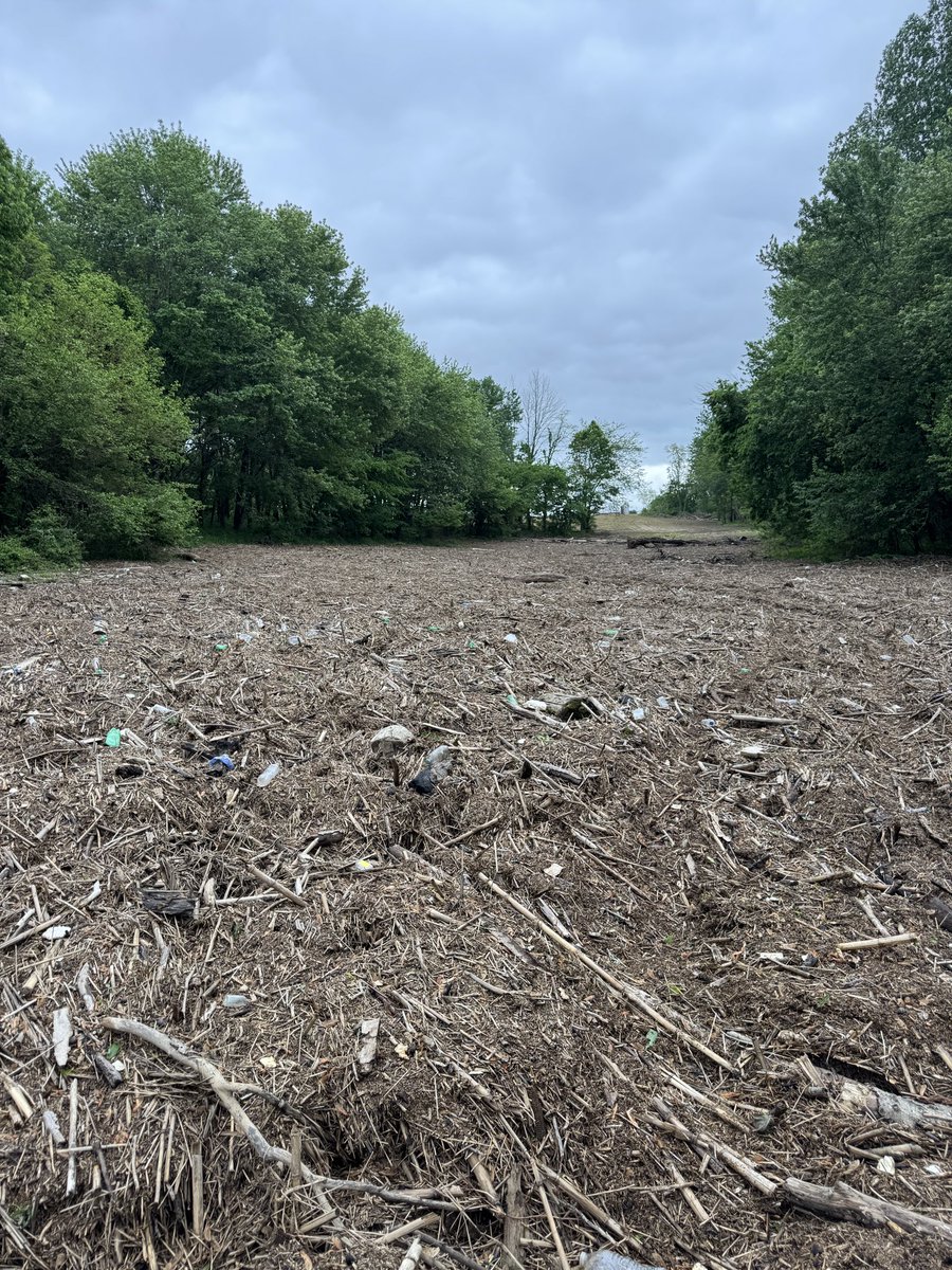 Gavin Spoor tweet media