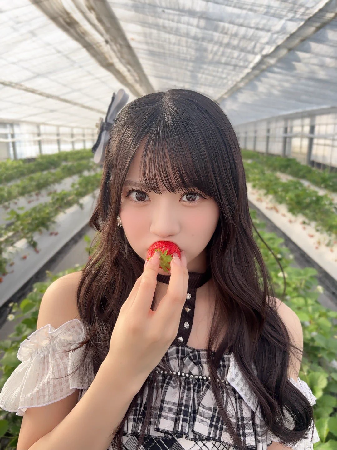 OCHA NORMA on X: 