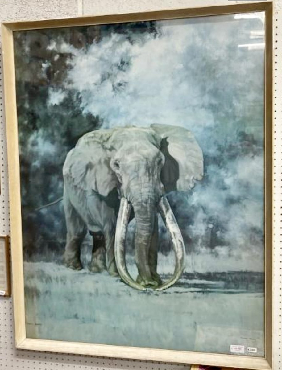 Ahmed of Marsabit remains the most iconic of African tuskers. Gained protection of a Kenyan presidential decree (with armed guards) in 1970 until his natural death at 55 in 1974. My Diana Bunny print has badly faded; happy to know it once looked like this
artsandculture.google.com/story/ahmed-th…